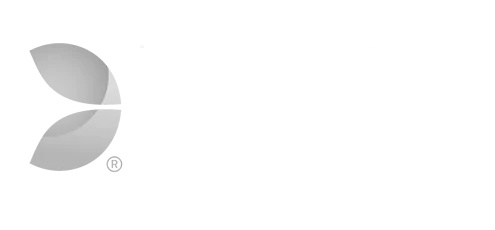 Evolution Gaming